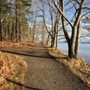 Photo of Mackworth Island State Park