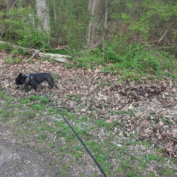 John Bryan State Park - Hiking Near Me - Yellow Springs, Ohio John Bryan State Park - Hiking Near Me - Yellow Springs, Ohio
