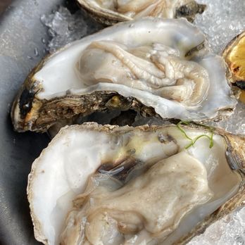 Touché French Creole - Half dozen oysters only $11. These were from Delaware. Offered raw or cooked in butter. - Cajun/Creole Near Me - Aurora, Illinois Touché French Creole - Half dozen oysters only $11. These were from Delaware. Offered raw or cooked in butter. - Cajun/Creole Near Me - Aurora, Illinois