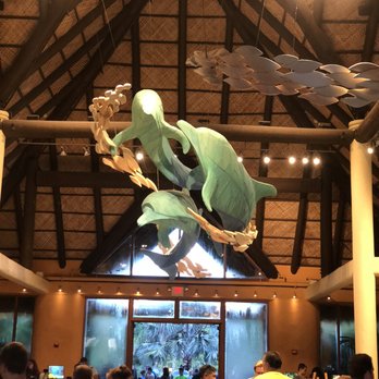 Discovery Cove - love the check-in area - Amusement Parks Near Me - Orlando, Florida Discovery Cove - love the check-in area - Amusement Parks Near Me - Orlando, Florida