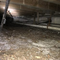 Wall 2 Wall Home Inspection - Crawlspaces