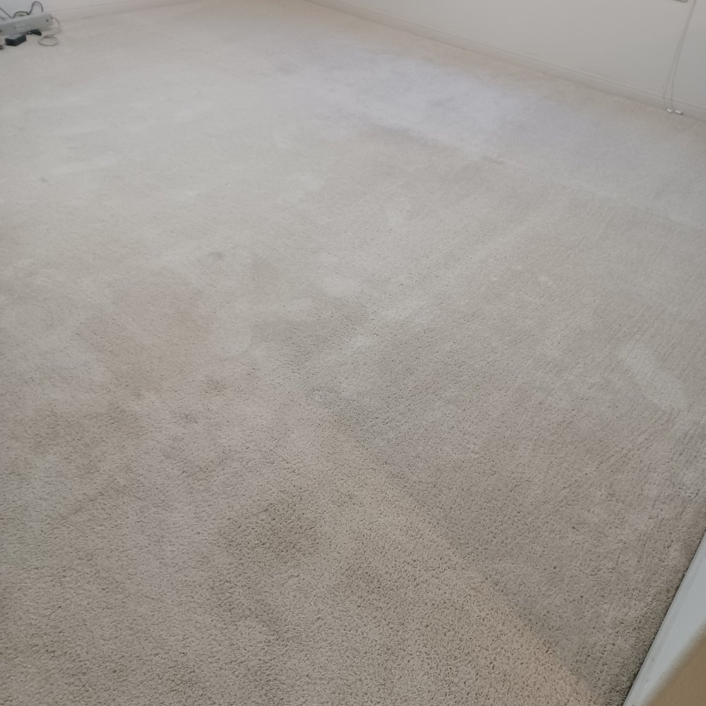 Chris' Mean Green Carpet Cleaning - Living Room Carpet - Carpet Cleaning Near Me - Pflugerville, Texas Chris' Mean Green Carpet Cleaning - Living Room Carpet - Carpet Cleaning Near Me - Pflugerville, Texas