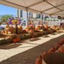 Photo of Halloween Town Pumpkin Patch