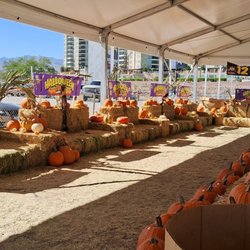 Halloween Town Pumpkin Patch