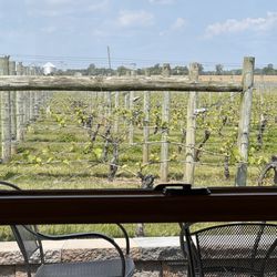 Crow Farm & Vineyard - Vineyard