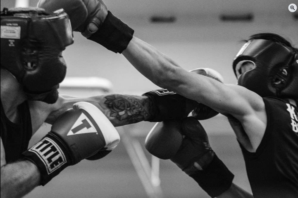 Palolo Boxing Club Logo