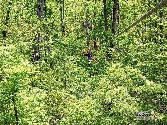 ZipQuest - Waterfall & Treetop Adventure by null