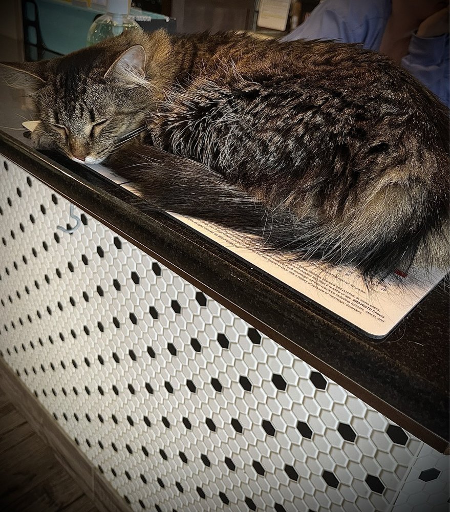 Whitesburg Animal Hospital - pet boarding facility in Huntsville, AL