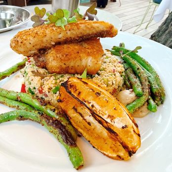 Novo - Today special - New American Near Me - San Luis Obispo, California