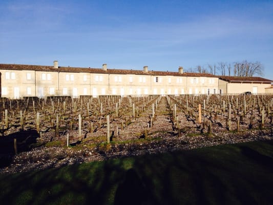 Château Mouton Rothschild by null