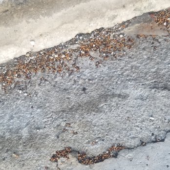 EZ Storage - Termite droppings - Self Storage Near Me - Buena Park, California
