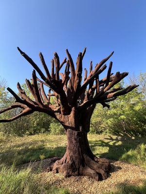 Frederik Meijer Gardens & Sculpture Park by null