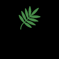 Barker Tree Services