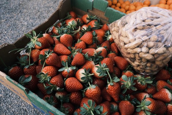 Family Farms by null