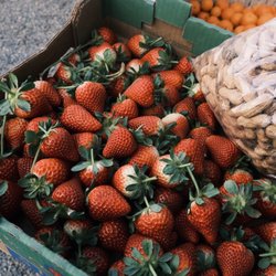 Family Farms