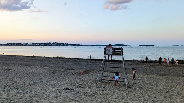 Wollaston Beach by null