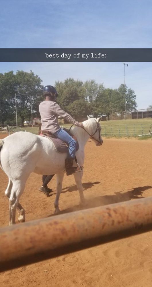 FOR THE LOVE OF HORSES Updated August 2024 5550 NE 50th St