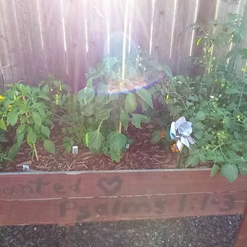 Uprooted Gardens - Plantar box - Gardeners Near Me Uprooted Gardens - Plantar box - Gardeners Near Me