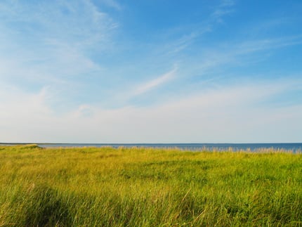 Kouchibouguac National Park by null