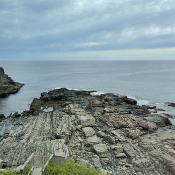 The Tiller Restaurant - Window views - American Near Me - Cape Neddick, Maine