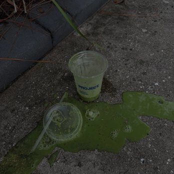 Project Coffee - matcha - Coffee & Tea Near Me - Sarasota, Florida