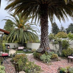 Siena House - The back garden at Siena House.