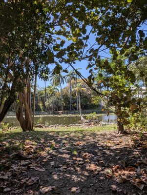 Bonnet House Museum & Gardens by null