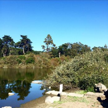 Mountain Lake Park - Bucolic scene in the city Mountain Lake Park #AlwaysSF #RichmondDistrict - Parks Near Me Mountain Lake Park - Bucolic scene in the city Mountain Lake Park #AlwaysSF #RichmondDistrict - Parks Near Me
