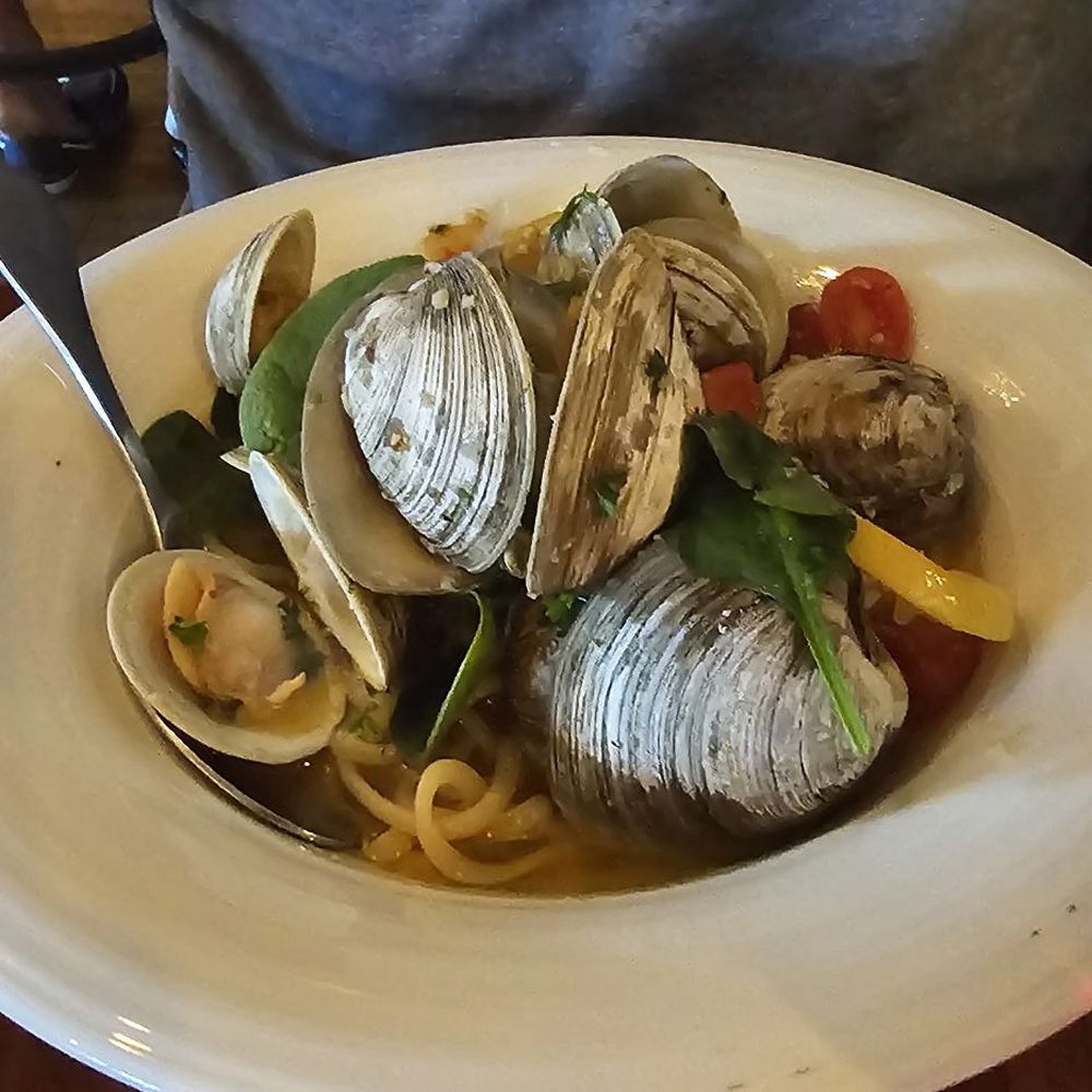 Sam's Kitchen - Little Neck Clams - Italian Near Me - Woburn, Massachusetts Sam's Kitchen - Little Neck Clams - Italian Near Me - Woburn, Massachusetts