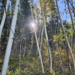 Threemile Creek Trail