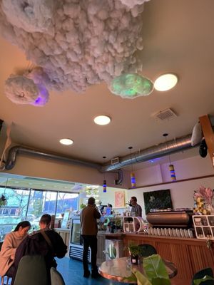 Queer Plants Cafe by null