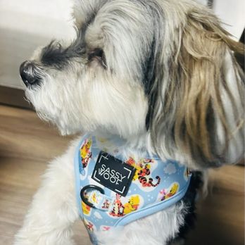 Genesee Valley Veterinary Hospital - Vana - Veterinarians Near Me - Geneseo, New York Genesee Valley Veterinary Hospital - Vana - Veterinarians Near Me - Geneseo, New York