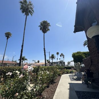 Claire's at the Museum - The museum garden that you can stroll around while you wait (if you don't have reservations). - New American Near Me - Long Beach, California