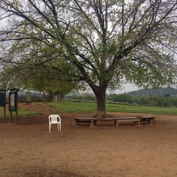 Redding Dog Park - I love sitting under this bench - Dog Parks Near Me - Redding, California