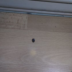 Featured image of post Motel 6 Harlingen Tx Motel 6 harlingen offers guests an array of room amenities including air conditioning and getting online is possible as free wifi is available