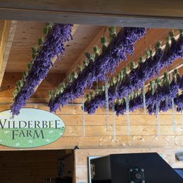 Exterior photo of Wilderbee Farm - Port Townsend, Washington Exterior photo of Wilderbee Farm - Port Townsend, Washington