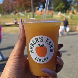 Hard Cider Slushie Hard Cider Slushie