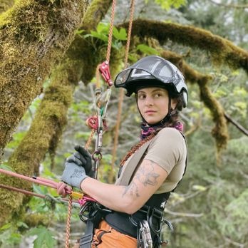 Tree Dogs - Tree Services Near Me Tree Dogs - Tree Services Near Me