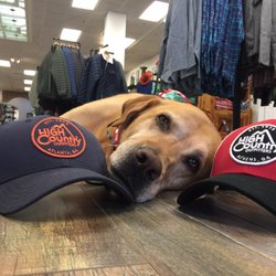 High Country Outfitters - Store dog!