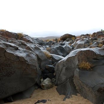 Coso Range Petroglyphs - Water once raged through this area and many of the rocks appear as fossils - Active Life Near Me - Ridgecrest, California