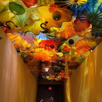 Chihuly Collection - Art Galleries Near Me - Saint Petersburg, Florida
