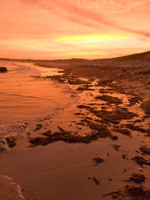 South Shore Beach by null