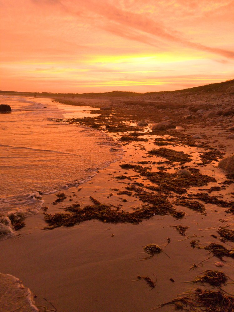 SOUTH SHORE BEACH Updated July 2024 57 Photos & 22 Reviews 140 S Shore Rd, Little Compton