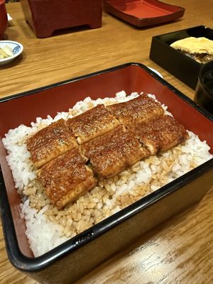 Honke Shibato by null