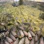 Photo of Woodbridge Aquarium & Wildlife
