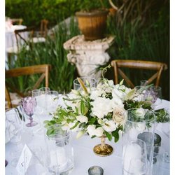 Mark Daniel interior Design