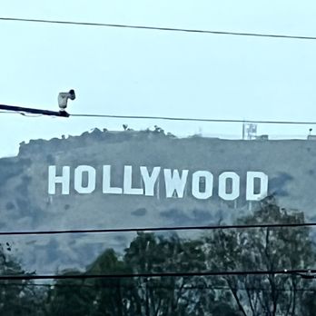 Hollywood - Hollywood Sign - Local Flavor Near Me - Los Angeles, California