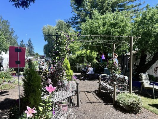 Helvetia Lavender Farm and Christmas Tree Farm by null