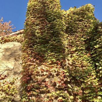 Vinarosa Resort & Spa - It's fall, ya'll! - Hotels Near Me - Santa Rosa, California Vinarosa Resort & Spa - It's fall, ya'll! - Hotels Near Me - Santa Rosa, California