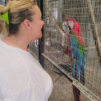 Magnolia Bird Farm - He's my friend - Pet Stores Near Me - Riverside, California Magnolia Bird Farm - He's my friend - Pet Stores Near Me - Riverside, California